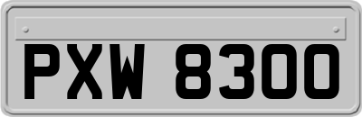 PXW8300