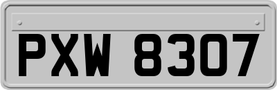 PXW8307