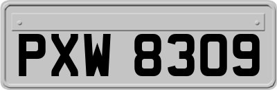 PXW8309