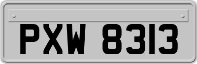 PXW8313