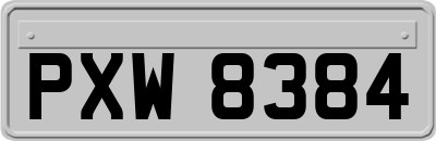 PXW8384