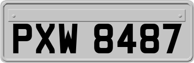 PXW8487