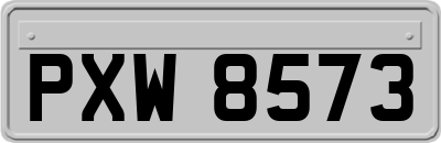 PXW8573