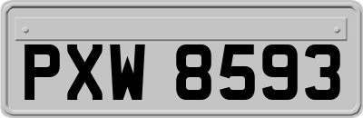 PXW8593