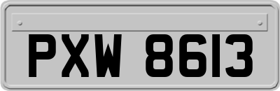 PXW8613