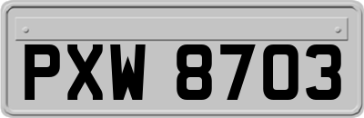 PXW8703