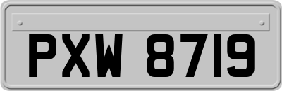 PXW8719