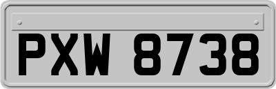 PXW8738