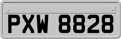 PXW8828