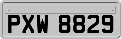 PXW8829