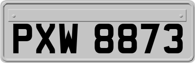 PXW8873