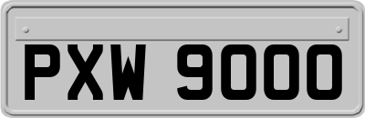 PXW9000