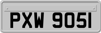 PXW9051