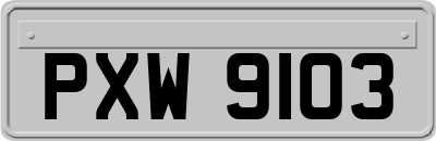 PXW9103