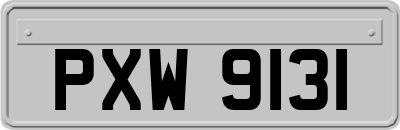 PXW9131