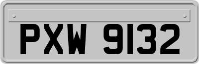 PXW9132