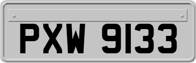 PXW9133