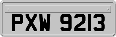 PXW9213