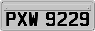 PXW9229