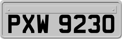 PXW9230