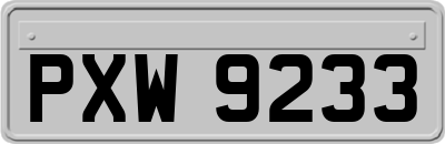 PXW9233