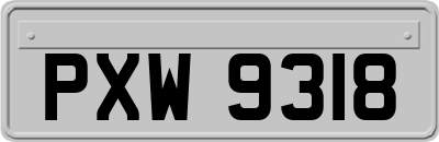 PXW9318