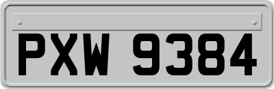 PXW9384