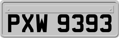 PXW9393