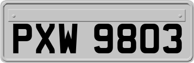 PXW9803