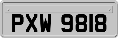 PXW9818