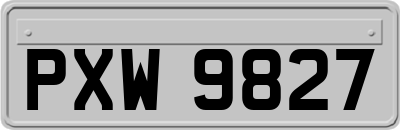 PXW9827