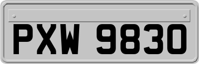 PXW9830