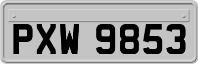 PXW9853