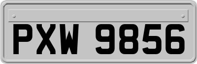 PXW9856