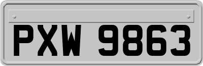 PXW9863