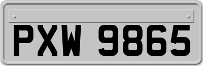 PXW9865