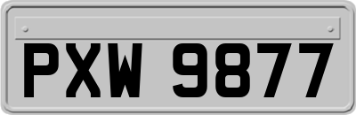 PXW9877