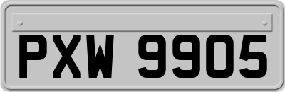 PXW9905