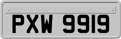 PXW9919