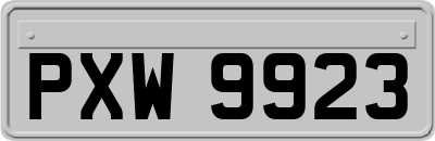 PXW9923