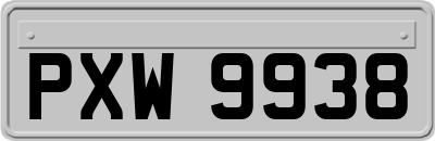 PXW9938