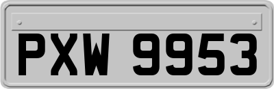 PXW9953