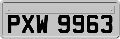 PXW9963