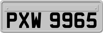 PXW9965