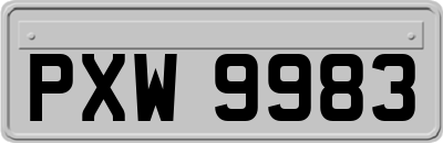 PXW9983