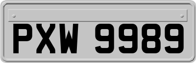 PXW9989