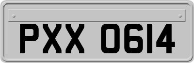 PXX0614