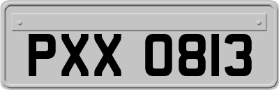 PXX0813