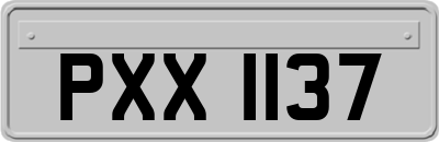 PXX1137