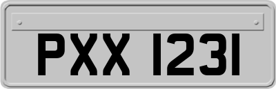 PXX1231